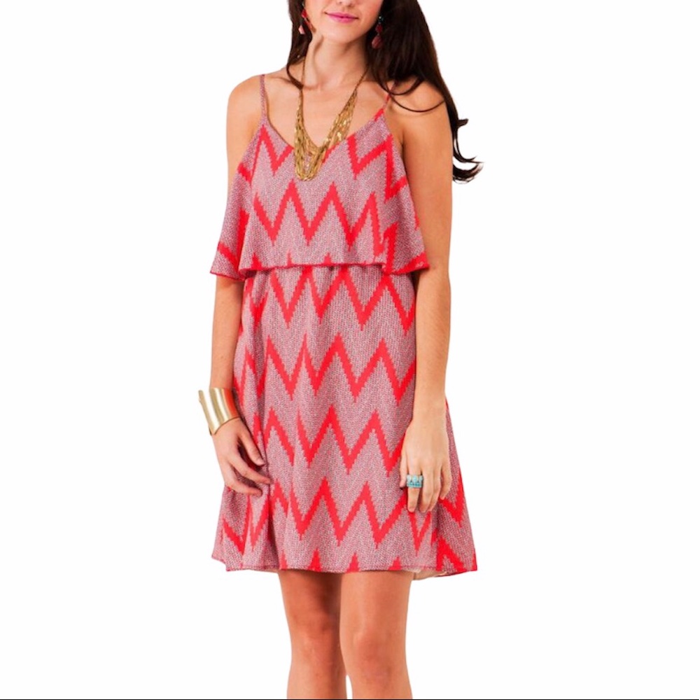 Francesca’s Bird Cage Digital Zigzag Print Dress